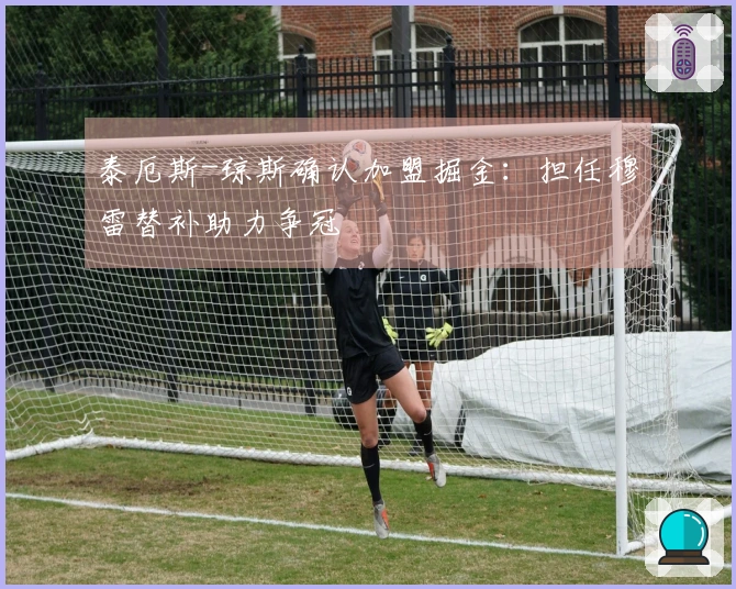 泰厄斯-琼斯确认加盟掘金：担任穆雷替补助力争冠