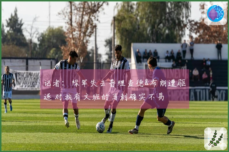 记者：绿军失去普理查德&布朗遭驱逐 对抗有文班的马刺确实不易